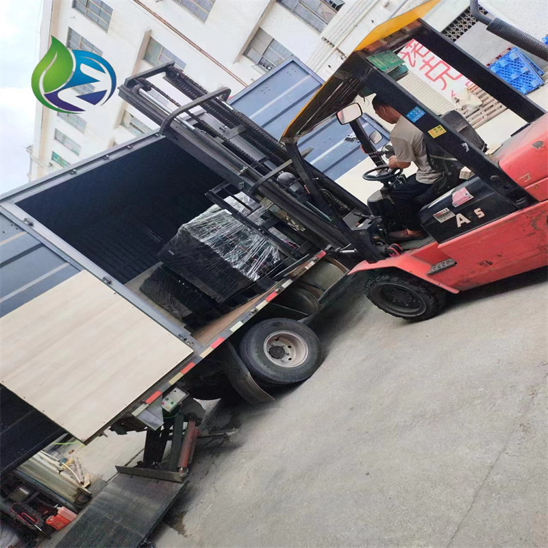 drain cells.jpg drain cells.jpg