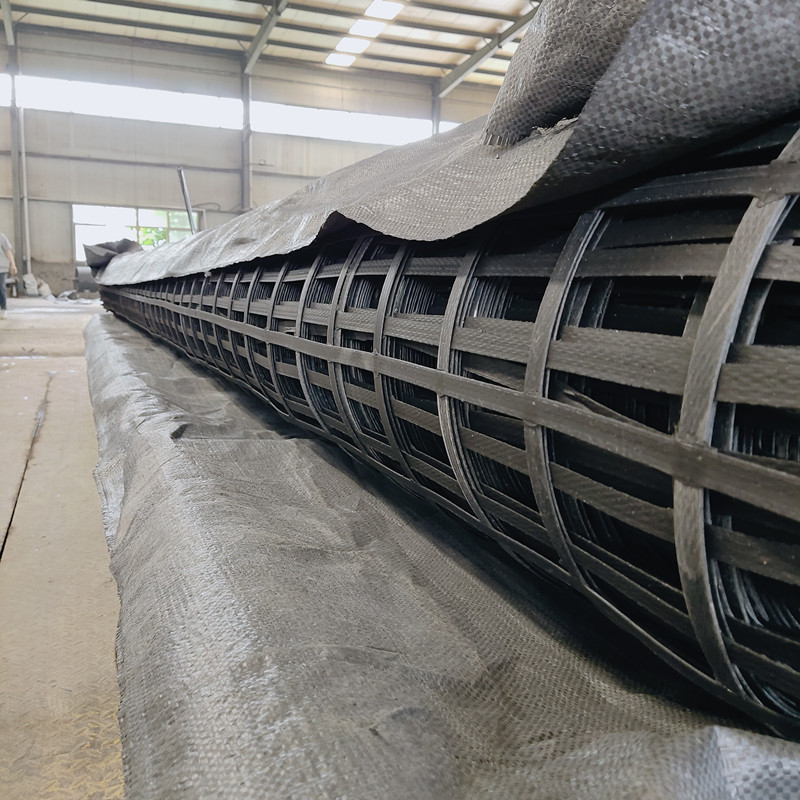 Steel Plastic Geogrid Subgrade Geogrids.jpg