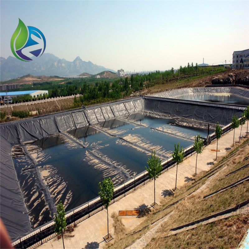 geomembrane