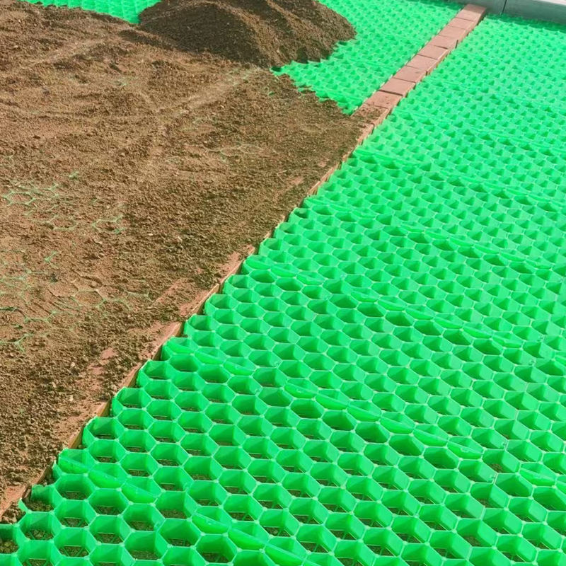 grass pavers driveway.jpg