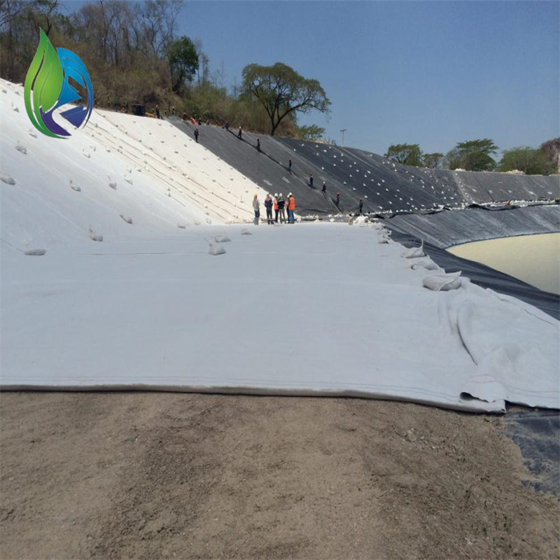composite geomembrane.jpg