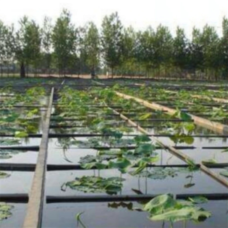 Fish ponds hdpe geomembrane