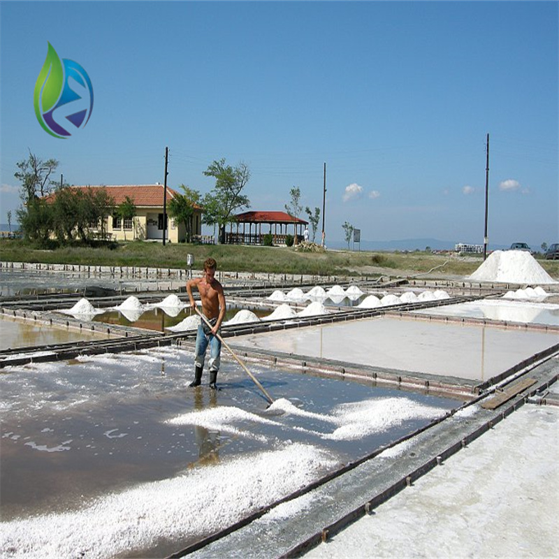 Salt industry geomembrane