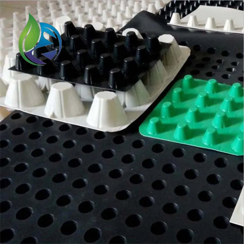 drainage sheet.jpg drainage sheet.jpg