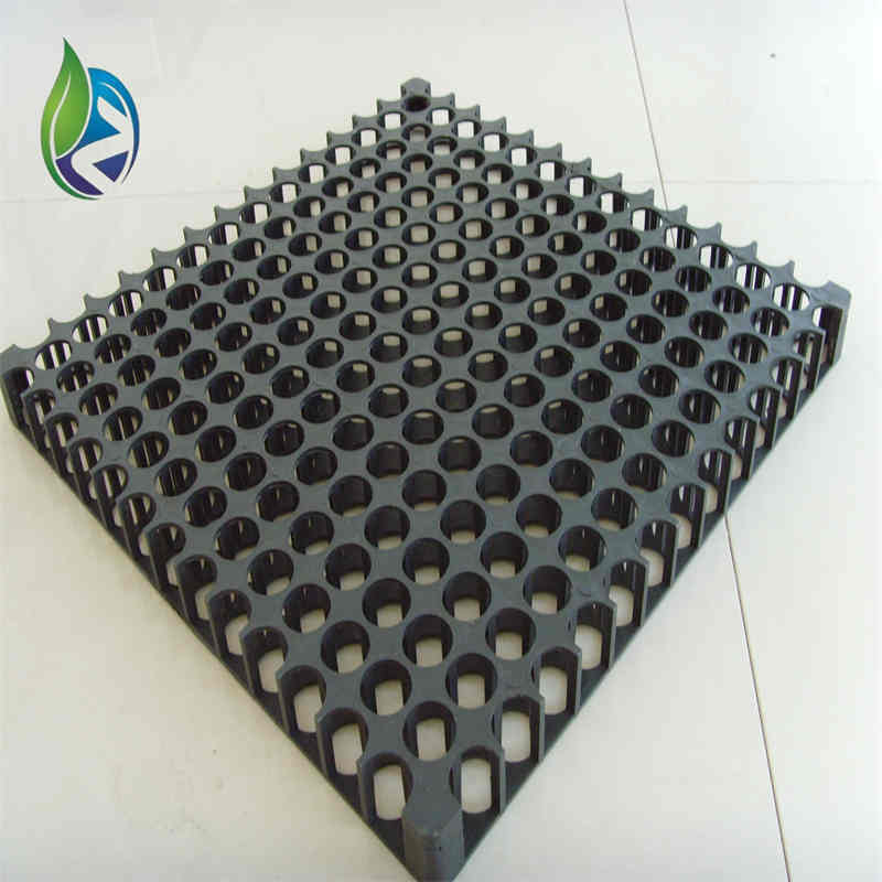 drain cells.jpg drain cells.jpg