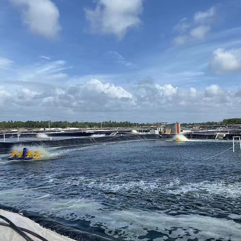 hdpe geomembrane sheet.jpg