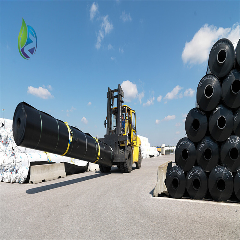 conductive geomembrane