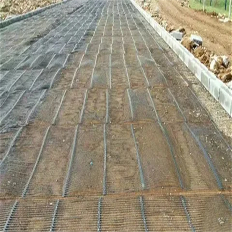 geogrid driveway.jpg geogrid driveway.jpg