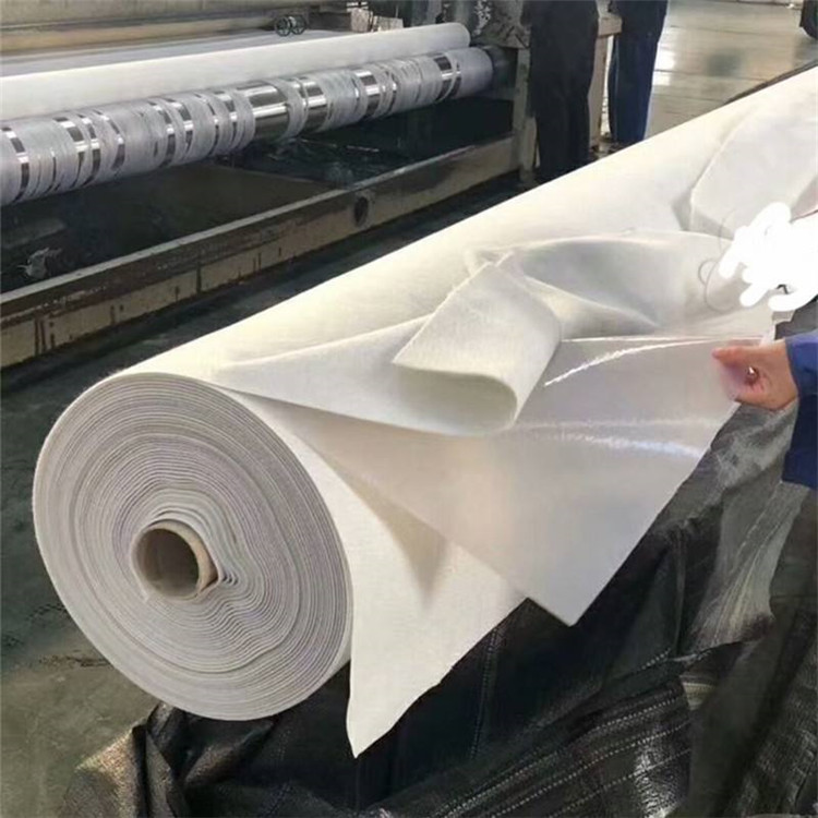 Mining & Tailings Pond Liners.jpg