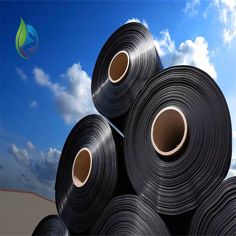 bpm geomembrane