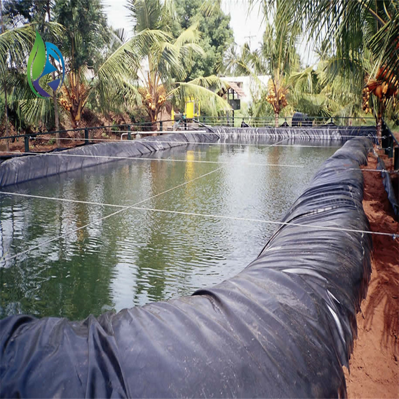 ldpe geomembrane.jpg ldpe geomembrane.jpg