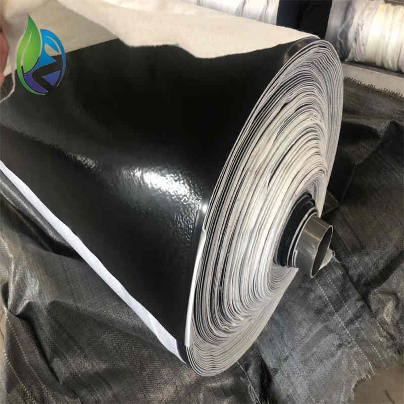 composite geomembrane.jpg