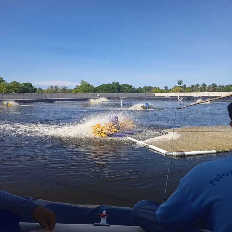 hdpe Geomembrane Composite Geomembrane Pond Liner Geomembrane Landfill Geomembrane Impermeable Geomembrane Pool Liner Geomembrane White Geomembrane Blue Geomembrane