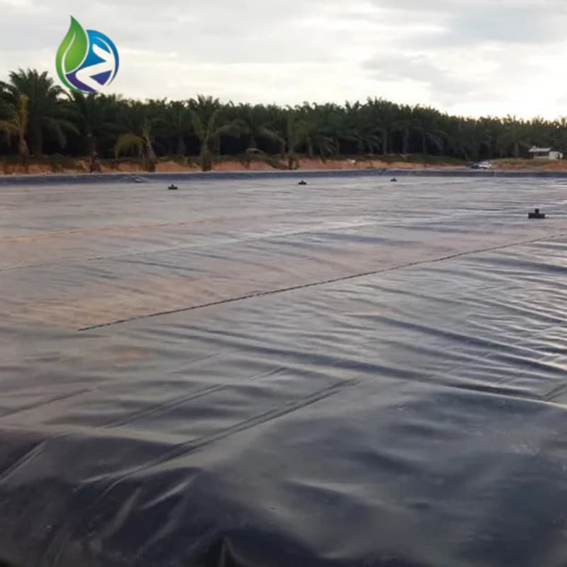 geomembrane