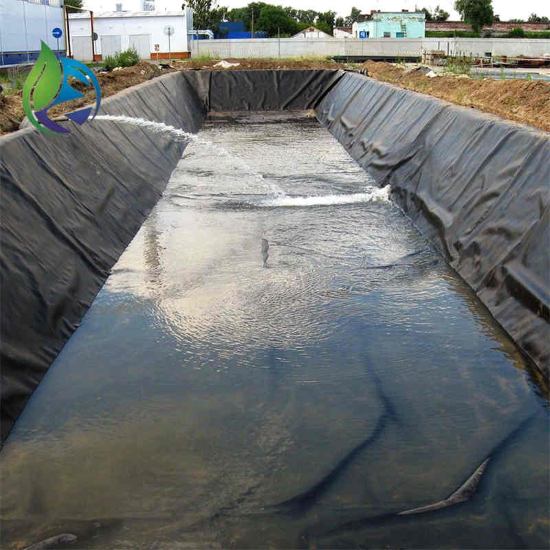 geomembrane