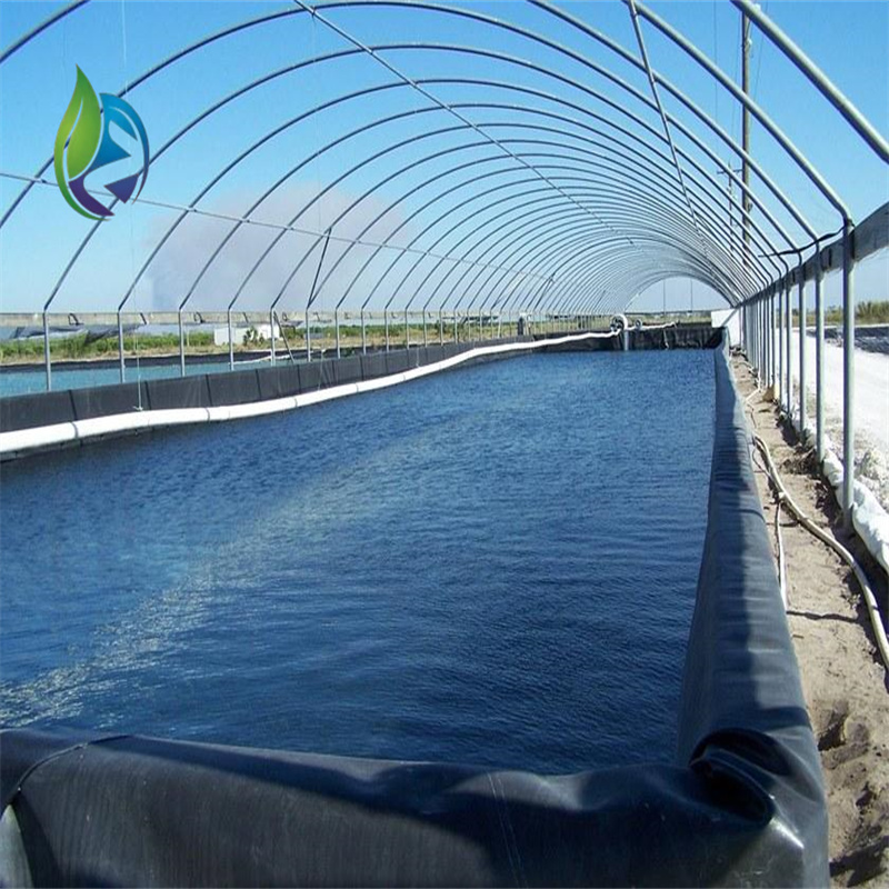 geomembrane