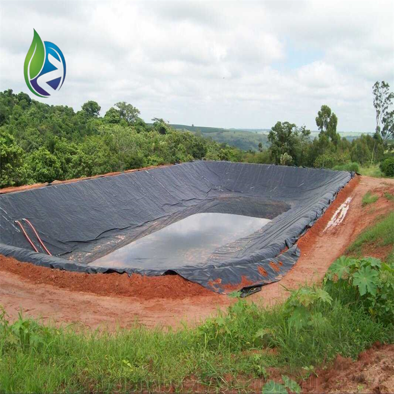 geomembrane