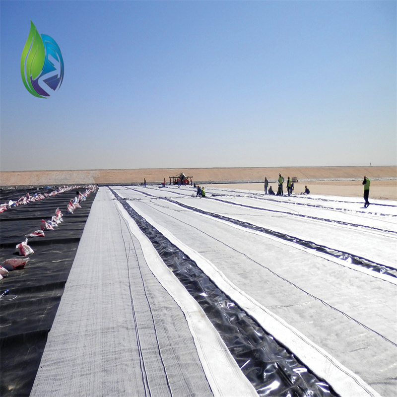 composite geomembrane