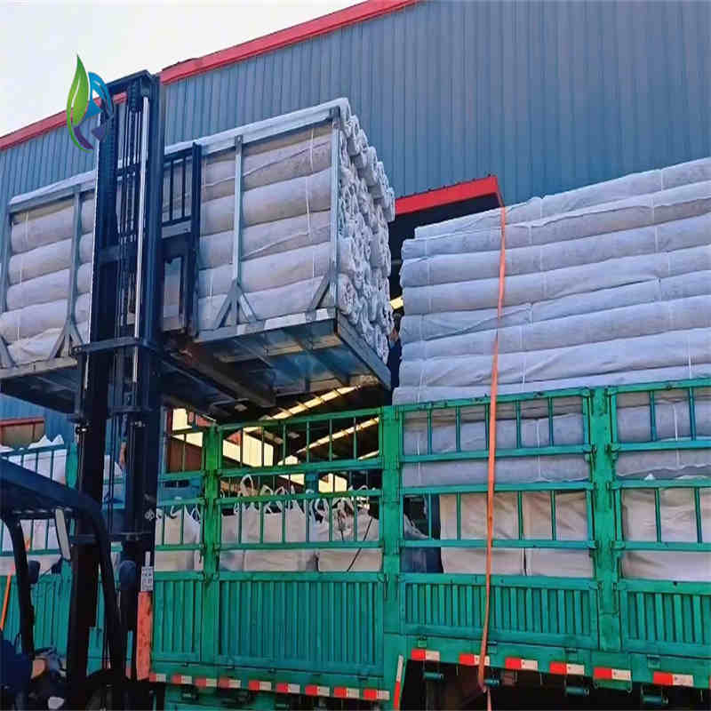 blind ditch drainage