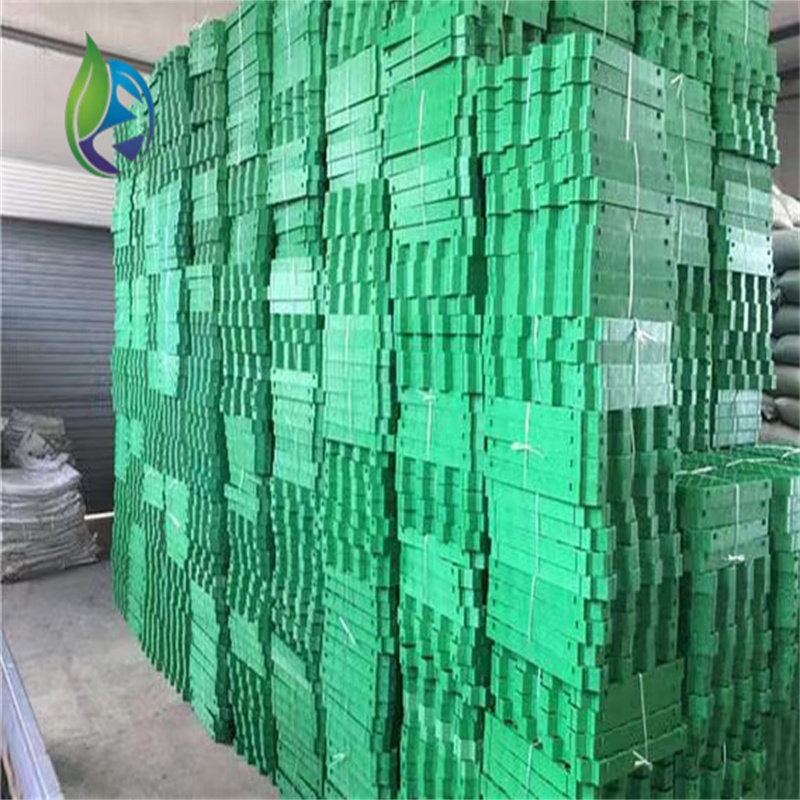 Plastic grass paver.jpg Plastic grass paver.jpg