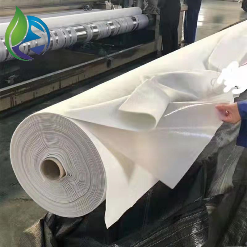 Geomembrane composite