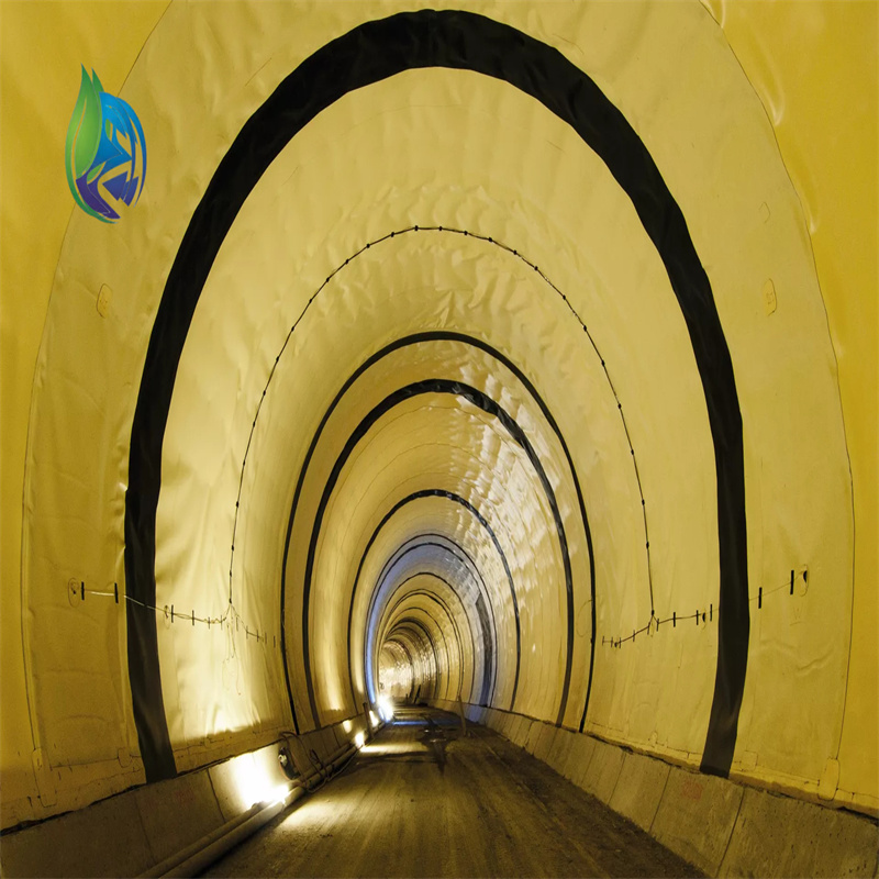 Protective Light Plate