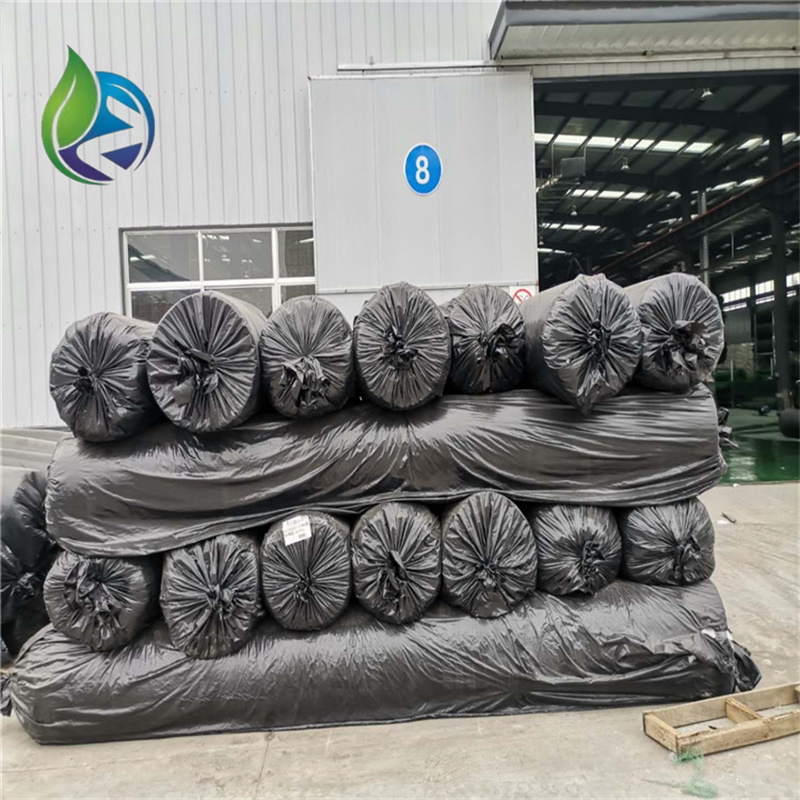 composite geonet.jpg