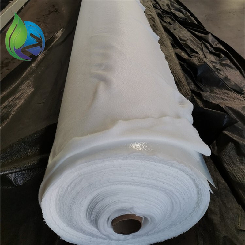 composite geomembrane.jpg composite geomembrane.jpg