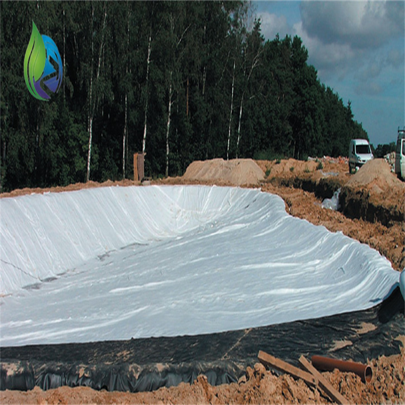 textured geomembrane.jpg