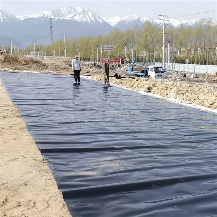 geomembrane price.jpg geomembrane price.jpg