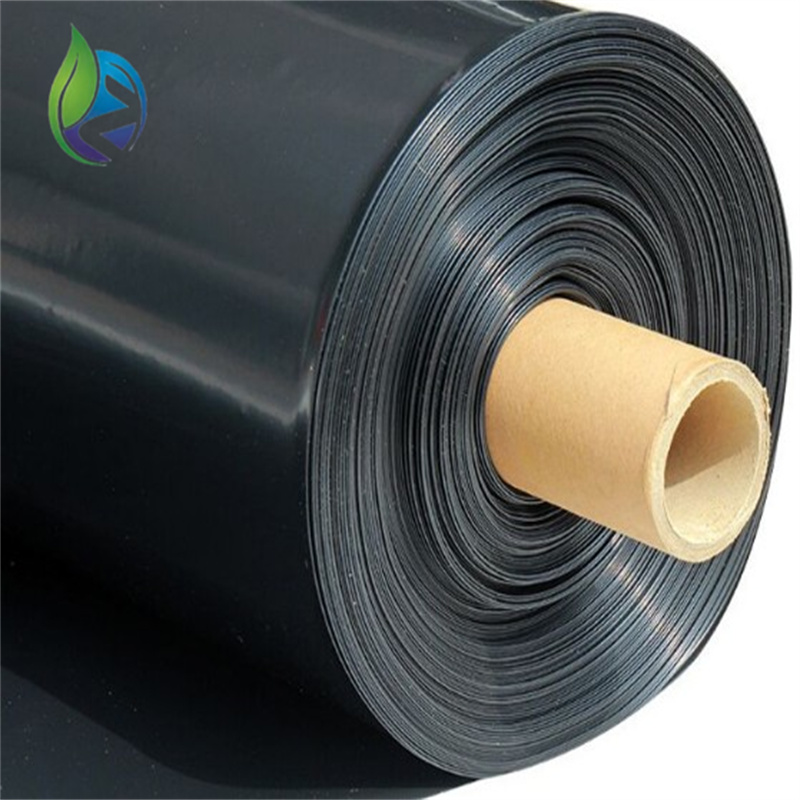 geomembrane