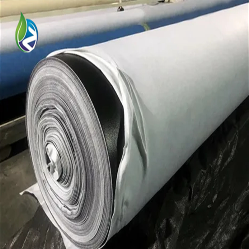 Pond culture sewage pond slope protection artificial lake landfill site anti-seepage composite geomembrane