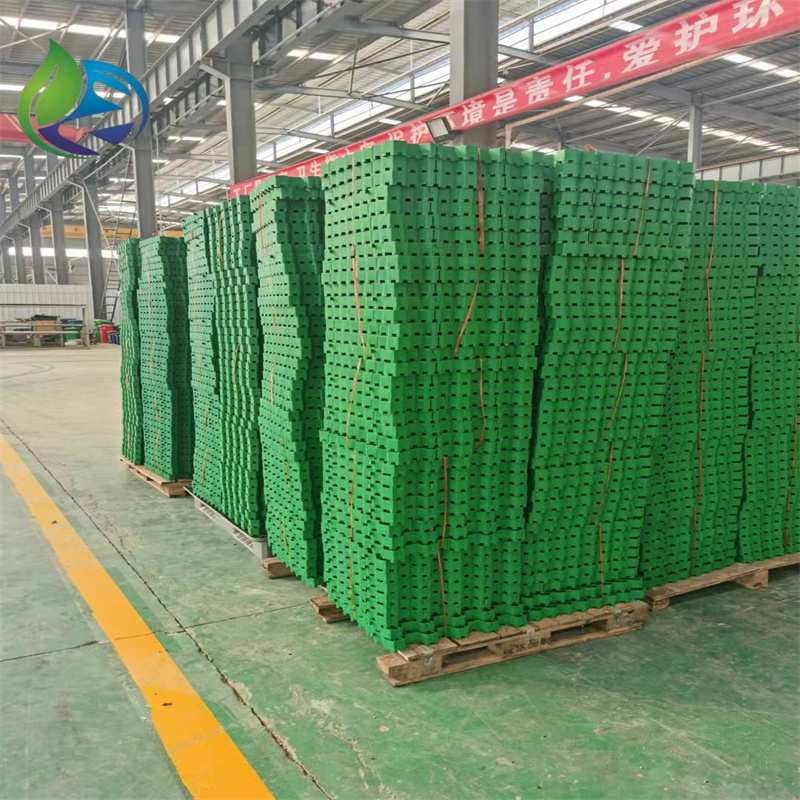 grass paver.jpg grass paver.jpg