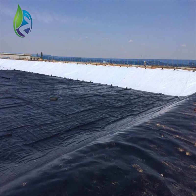 composite geomembrane