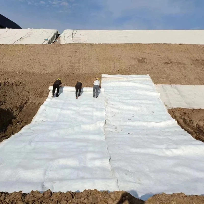 geotextile membrane.jpg geotextile membrane.jpg