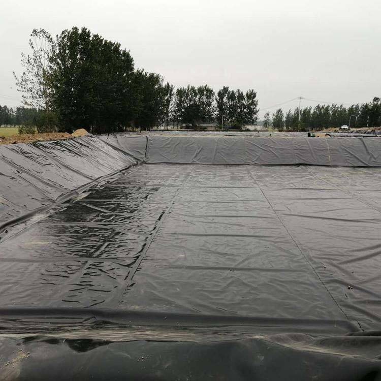 geomembrane hdpe.jpg