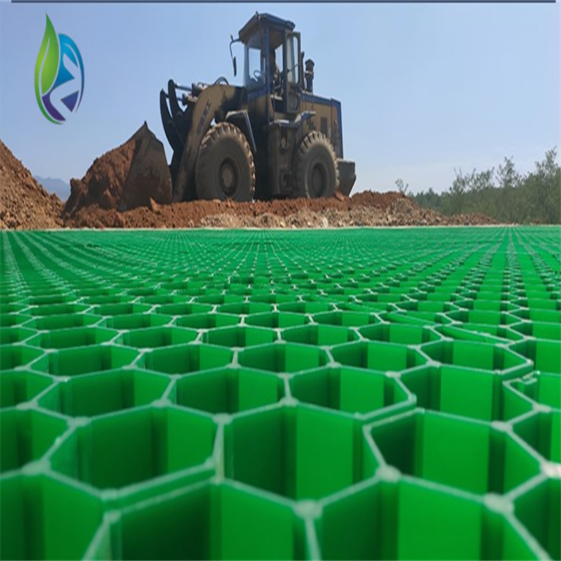 grass grid pavers.jpg