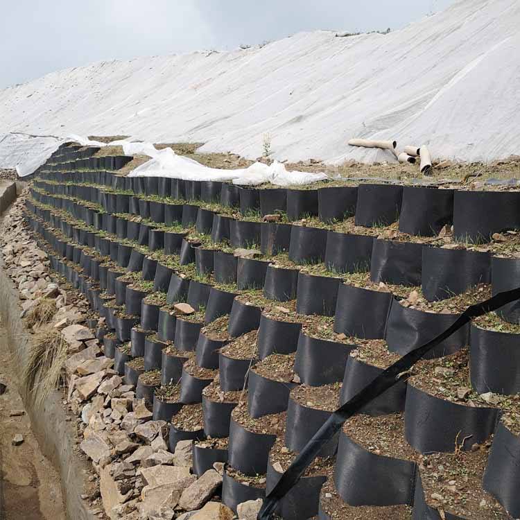 geocell driveway.jpg geocell driveway.jpg