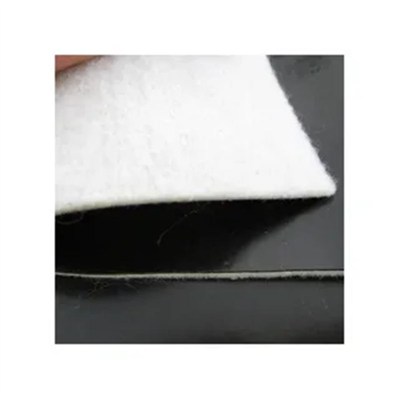 geomembrane liner