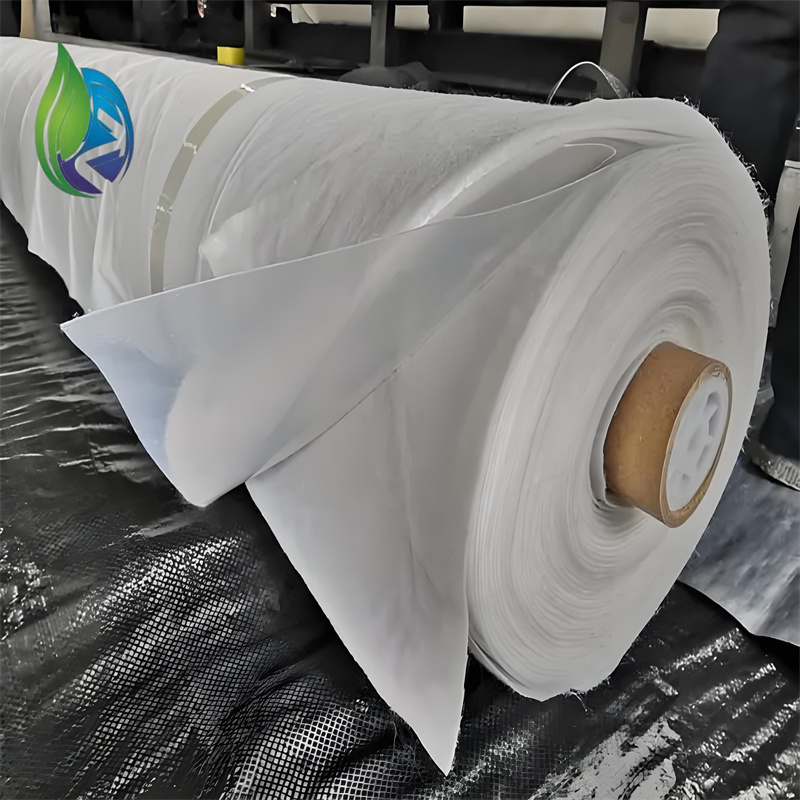 composite geomembrane