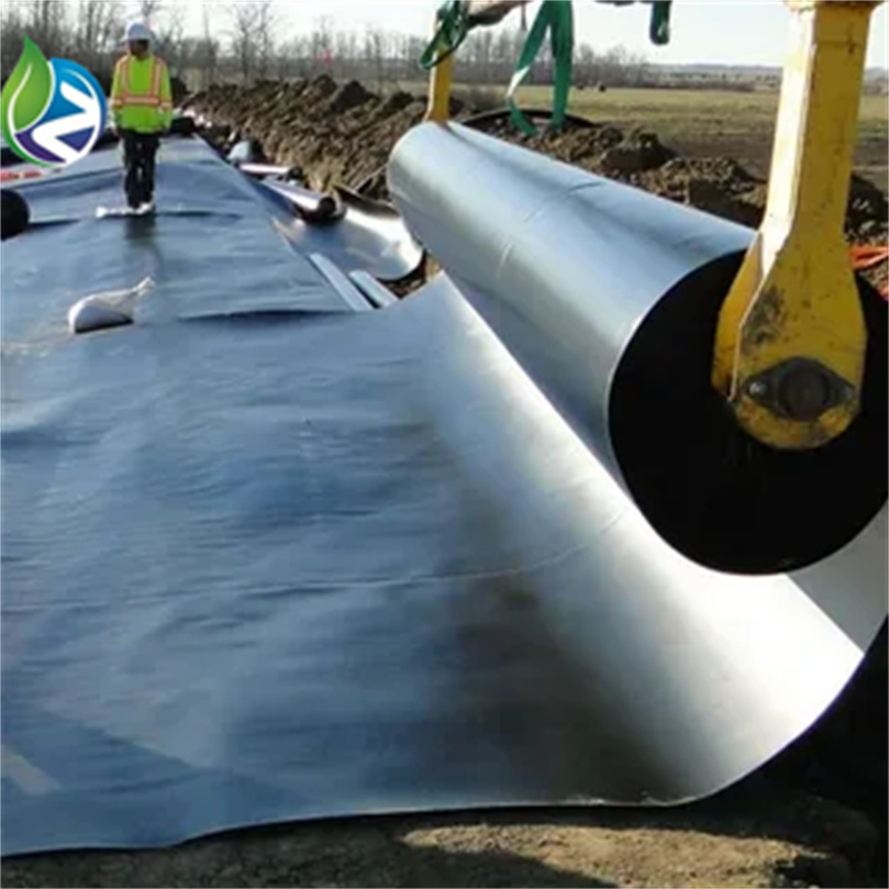 geomembrane