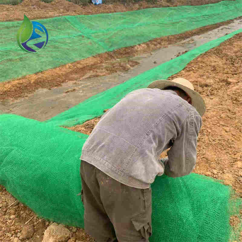 plastic 3d geomat.jpg