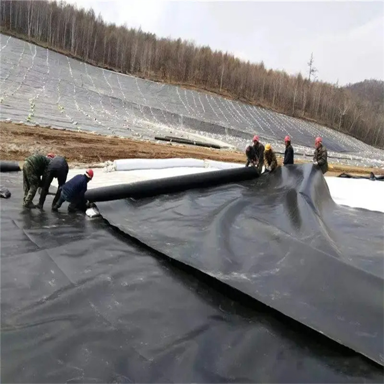 hdpe geomembrane.jpg