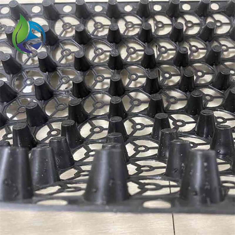 Plastic drain board for water storage