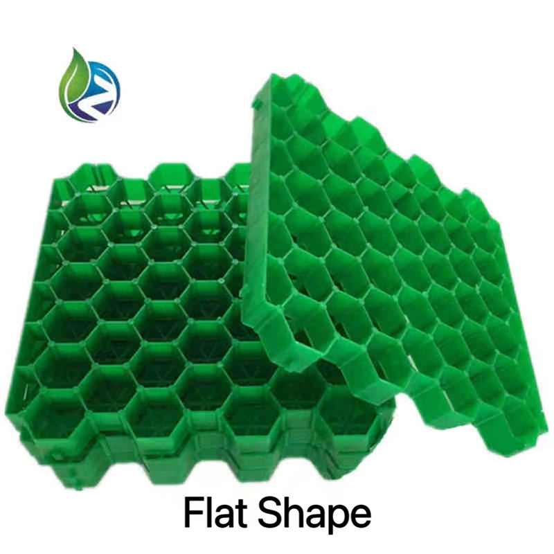 grass grid driveway.jpg