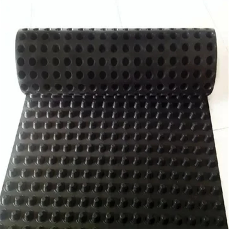 1732167011111443.jpg 排水板板022.jpg