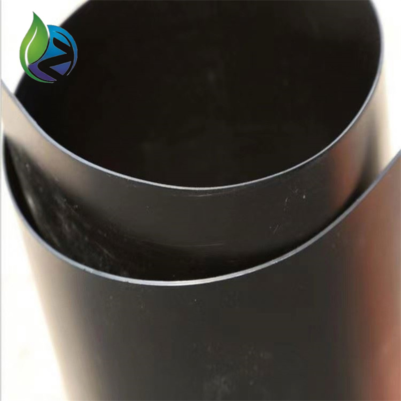 geomembrane