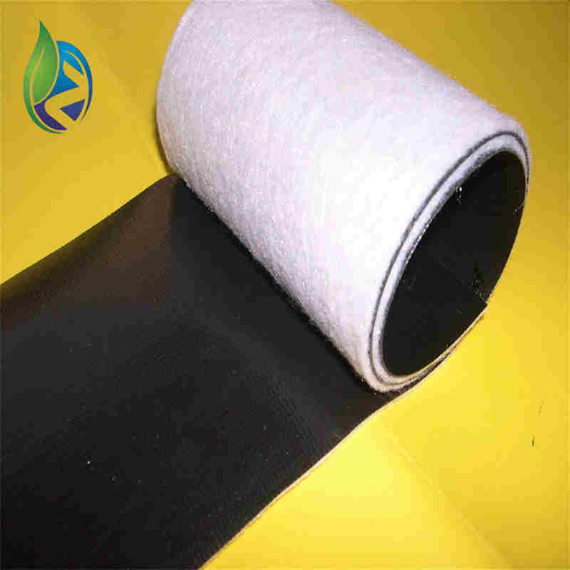 composite geomembrane.jpg