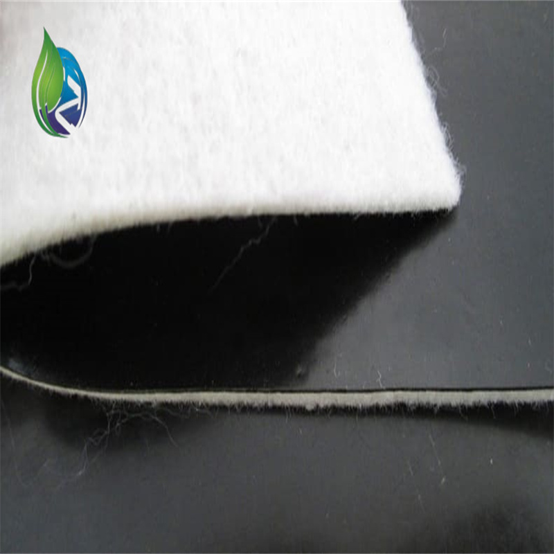 composite geomembrane.jpg composite geomembrane.jpg