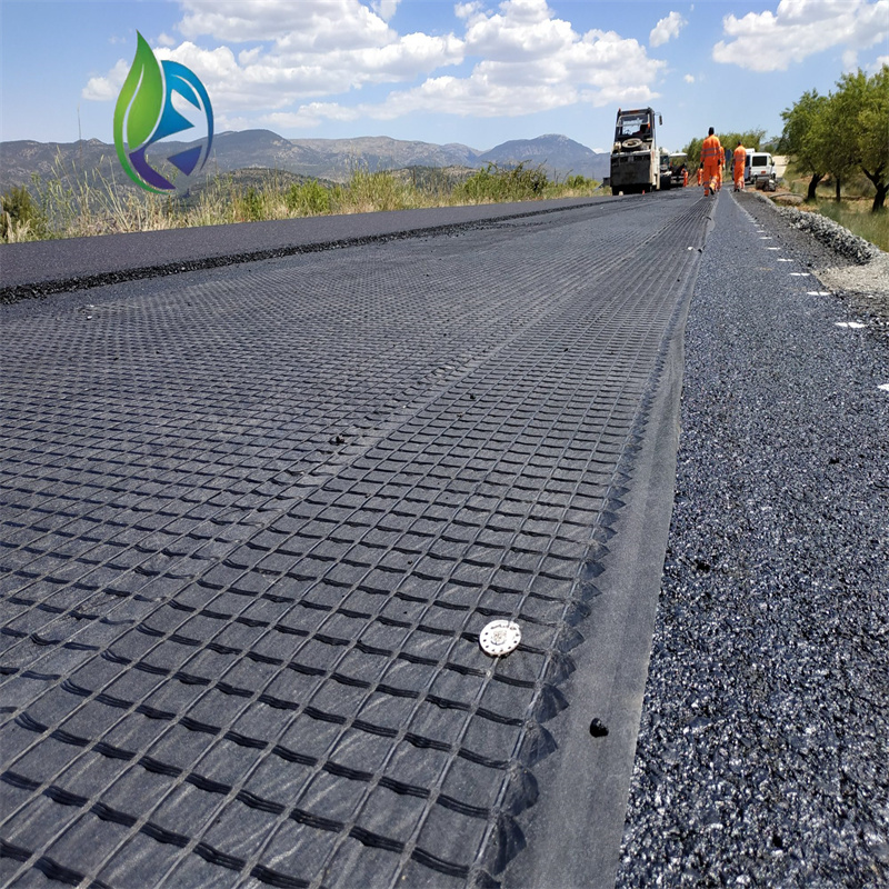 polyester geogrid.jpg polyester geogrid.jpg
